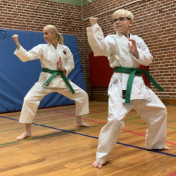 Forælre Barn Karate